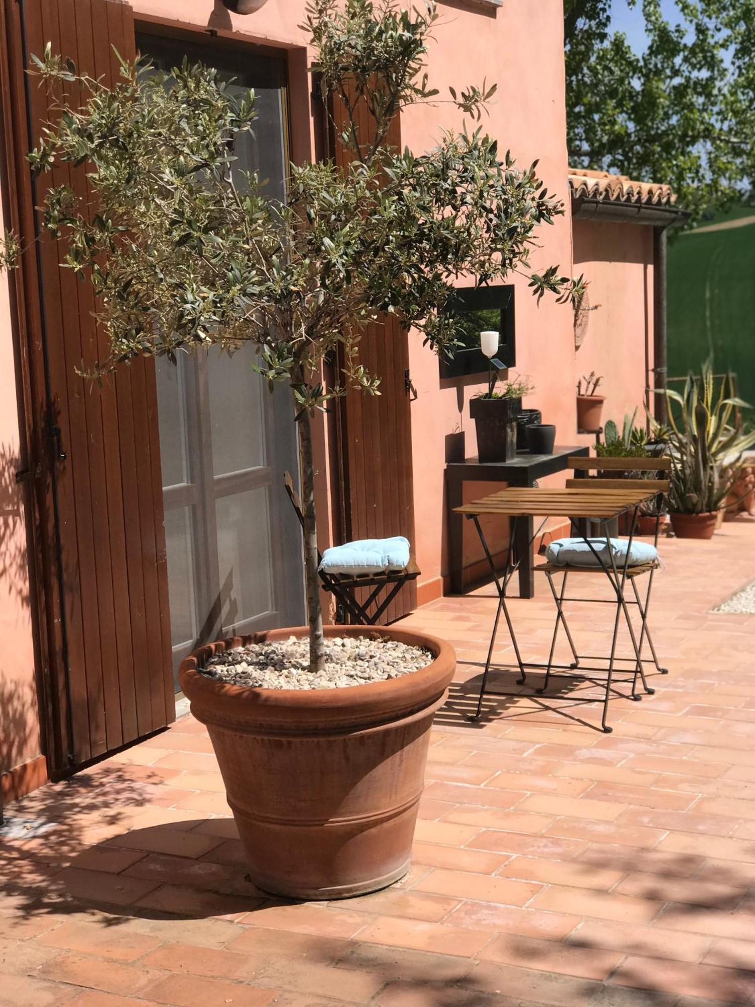 Il Posto Perfetto Bed & Breakfast Santa Maria Nuova  Exterior photo