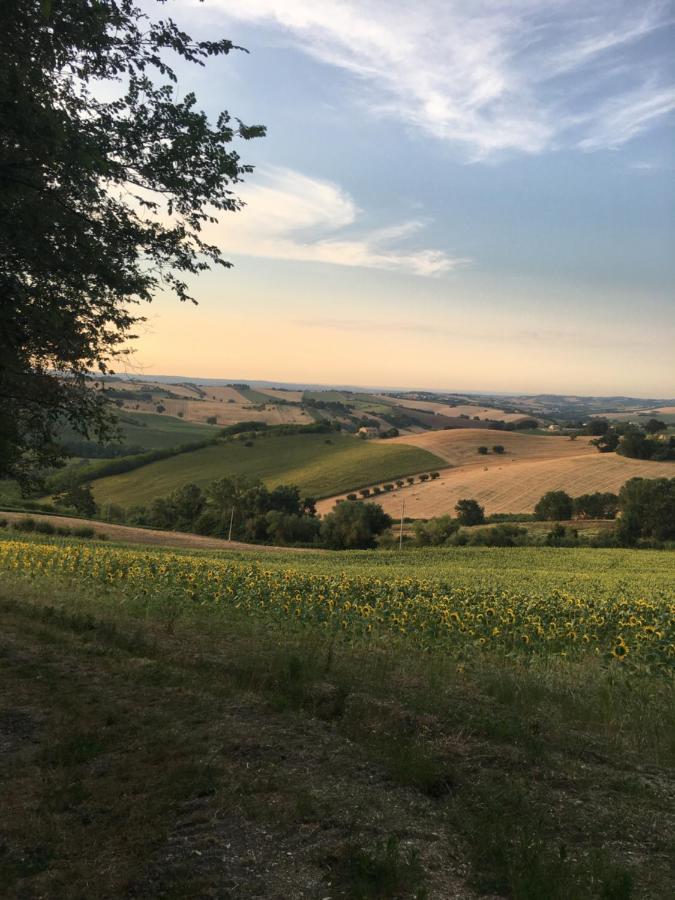 Il Posto Perfetto Bed & Breakfast Santa Maria Nuova  Exterior photo